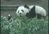Don't Mess with me while i'm eating