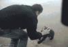 horrible bear attack