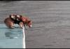 Leap of Faith