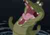 Crocodile Party