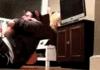 fat cat wants fat owner