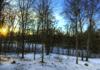 A time lapse of one year, in one second.