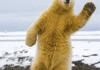 Global Warming