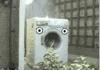 Brick vs. Washing Machine