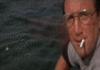 jaws