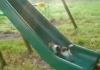 Cat vs Slide