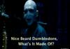 Nice beard dumbledore