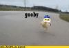 Gooby pls