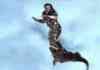 Flight of the Crocodile
