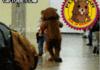 Pedo bear strikes again!