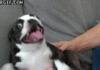 Derp.