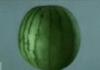 Slow motion watermelon shoot