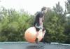 Tranpoline Fail