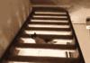 Gravity Cat