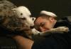Dalmatian consoles sad owner