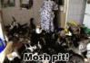 Meosh pit