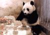 When You Get The Bill At A Fancy Dinner