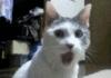 MFW i look around the science channel