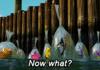 MFW I Just Graduated High School