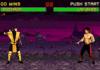 If mortal kombat was realistic