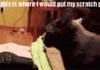 Scratch post