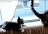 i love this gif