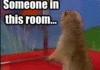Someone in this room...