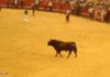 Bro, do you even matador?