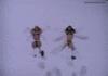Bikini snow angels