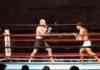 Knock Out