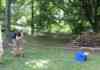 Log Toss Prank