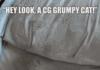 Grumps