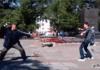 Pigeon Fight!