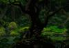 Amazing 16-bit Scene