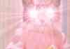 hypno cat
