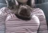 Don´t put me down...