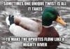 Mallard has some advice