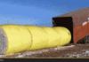 Giant twinkies