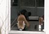 Surprised Baby Red Panda