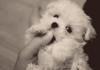 Cuteness!
