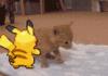 Pikachu Used Tackle!