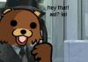 Pedo Bear Almost Caught