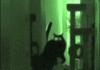 Paranormal Activity