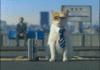 meanwhile in Japan