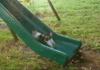 cat trying to run up slide