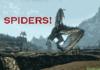 Spiders!!