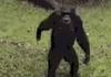 Me, when somebody opens a pack of gums