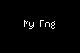 My Dog
