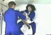 Cat experiences weightlessness.