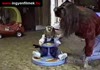 Funny Children